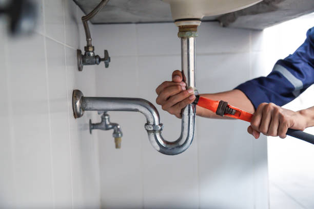 Best Plumbing Inspection Services  in Cottonwood, MN