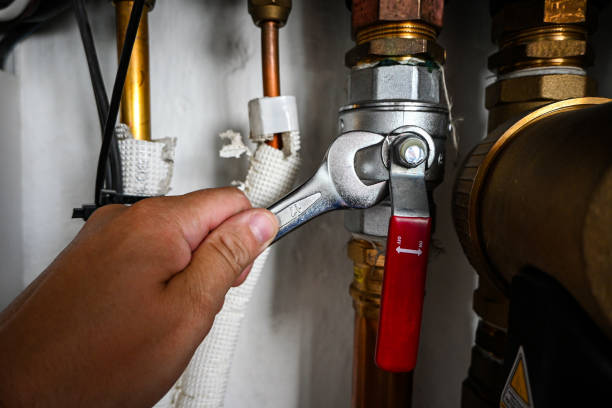 Best Emergency Plumbing Repair  in Cottonwood, MN